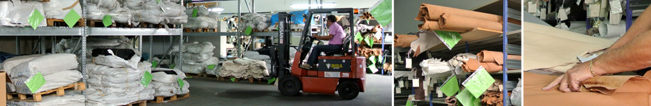 Famaz azienda